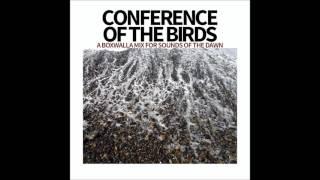 Conference Of The Birds – A Boxwalla Mix for Sounds Of The Dawn