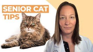 10 Proven Senior Cat Care Tips That Actually Work (A Vet's Perspective)