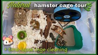 Natural Hamster Cage Theme/Tour + Time-lapse Cage Cleaning!