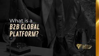 What is a B2B Global Platform?