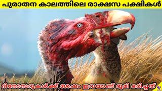 Terror Birds: Terrifying Prehistoric Rulers After Dinosaurs | Facts Malayalam | 47 ARENA