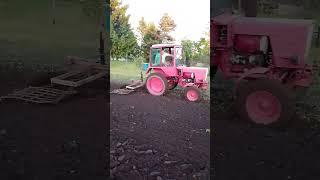 лучшая работа в мире