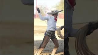 Mangana! #ecproduction #charrería #explore #shorts #trending #mexico #cowboys