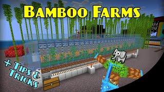 Bamboo Farm Guide | Minecraft Bedrock Farm Tutorial | MCPE XBOX PS SWITCH