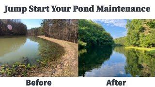 #204 Four Critical Early Spring Pond Maintenance Tips