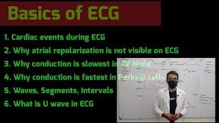 Basic Concepts of ECG explained by Dr Adnan ( Lecture No.1 on ECG) | Explained in Urdu