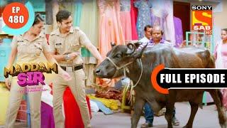 Haseena Hands A Responsibility To Karishma- Maddam Sir - Ep 480 - Full Episode - 20 April 2022