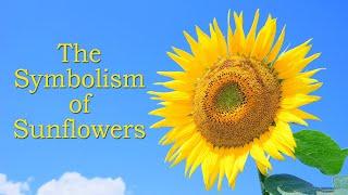 The Symbolism and Meaning of Sunflowers