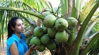 Cooking coconut jelly in my homeland very tasty - Polin Lifestyle