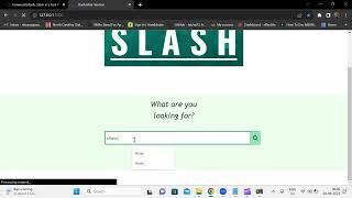 Project-45-Slash- Execution