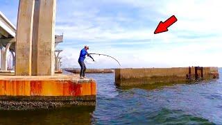 2 Hours of Catching Monster Fish from a Bridge!