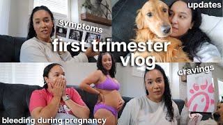 1st Trimester Vlog  symptoms, bleeding during pregnancy, cravings, updates, announcing + more...