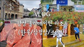 평창vlog 홀리데이인 리조트 놀거리 먹거리 추천합니다.  알펜시아 / 알파인코스터 / 한우먹방 / 소팔소곱창구이