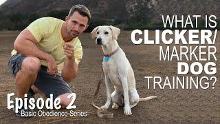 Clicker/Marker Dog Training - Episode 2