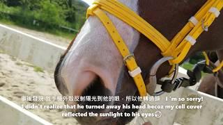 騎退役馬學踱步, 第一次墮馬【學騎馬日誌2】學快步/打浪 basics of posting or rising trots [Horse riding diary 2]