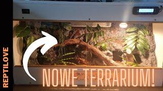 NOWE TERRARIUM dla BOA + karmienie