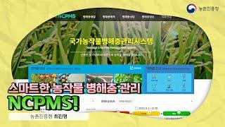 33. 스마트한 농작물 병해충 관리, NCPMS