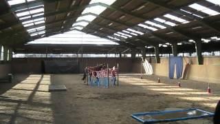 Ginas diary - Horse Agility