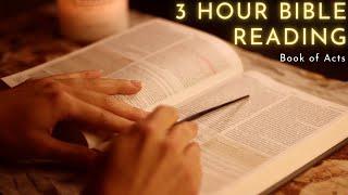 Whispering the Entire Book of Acts Bible Reading ASMR ️