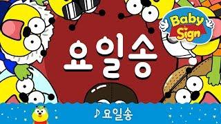베이비사인_요일송|days of the week song|요일노래|홈스쿨동요|홈스쿨링|