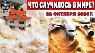 Катаклизмы за день 22.10.2024! катаклизмы сегодня новости сегодня  События Дня чп новый выпуск