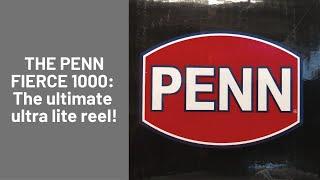 PENN FIERCE 3 1000 VS PENN FIERCE 2 1000