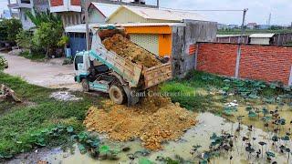 Amazing Project Delete Pound Flooded Soil !! Bulldozer Push StoneSoil ,Truck 5Ton Unloading Soil