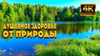 Расслабляющие Звуки Природы И Пение Птиц Для Спокойного Сна 10 Часов. Душевное Здоровье От Природы.