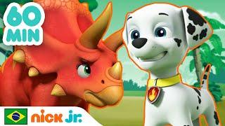 Patrulha Canina | 60 MINUTOS da nova Patrulha Canina! | Nick Jr. em Português