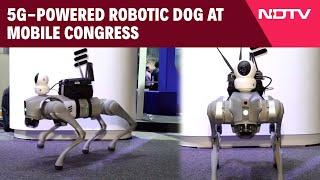 India Mobile Congress 2024 | 5G-Powered Robotic Dog Attracts Visitors At Mobile Congress