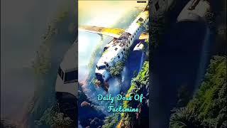 Most Dangerous Jungles Of World #facts #factonic #explore  #factshorts