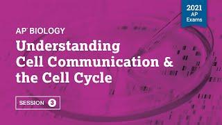 2021 Live Review 3 | AP Biology | Understanding Cell Communication & the Cell Cycle