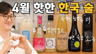 전통주 소믈리에가 마셔본 요즘 잘나가는 막걸리, 소주 ㄷㄷ