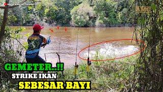 REEL MENJERIT..!!Mancing Ikan Baung Strike Ikan Besar Sebesar Bayi