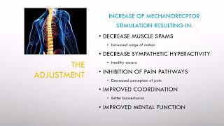 Discover the Secrets of The Neurology of the Subluxation with ProCredits