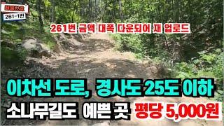 261-1 금액대폭다운 ) 산림경영허가완료. 전기인입. 접근성좋은   #임야 #급매물 #귀산귀촌