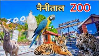 Nainital Zoo || Nainital Zoo Video || Nainital Ka Chidiyaghar || Nainital Tourist Places