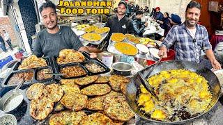 Best Street Food In Punjab | Jalandhar Street Food | Punjabi Street Food | Indian Street Food