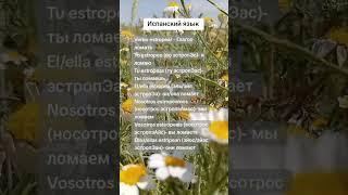 Испанский язык вместе с нуля #испанскийязык #испанский #испанскийлегко #учимиспанский #испания