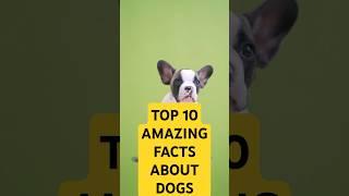 10 Amazing Facts about dogs