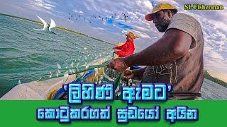 The Amazing Net Fishing In Sea | Sardinella Fishing: Huge Haul  | SL Fisherman