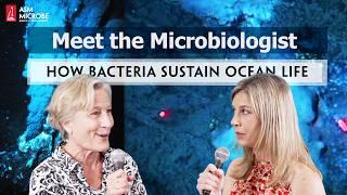 From Hydrothermal Vents to Cold Seeps: How Bacteria Sustain Ocean Life - Meet the Microbiologist