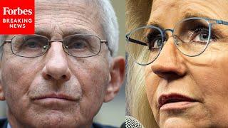 GOP Lawmaker Reacts To Reports Of Possible Pardons For Liz Cheney, Anthony Fauci