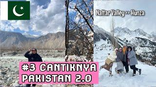 NALTAR VALLEY GILGIT PAKISTAN FEB 2024