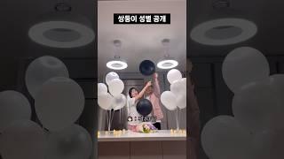 [젠더리빌] 쌍둥이 성별 공개 | gender reveal party