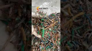 Efficient Cable Recycling with Mini Wet Copper Separator | For Oily & Soft Wires