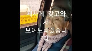 2023년 3월 11일