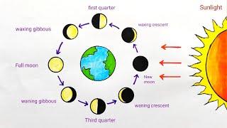 Phases of moon explained using drawing |Phases of Moon diagram drawing easy |Science poster drawing