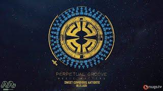 Perpetual Groove LIVE from Music Matters 9/25/20