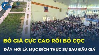 Bỏ giá đấu giá đất cao chót vót rồi bỏ cọc, đây thực sự mới là MỤC ĐÍCH CHÍNH của NĐT | CafeLand